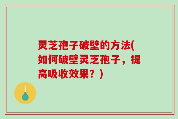 灵芝孢子破壁的方法(如何破壁灵芝孢子,提高吸收效果?) 灵芝孢子破壁的方法(如何破壁灵芝孢子,提高吸收效果?)