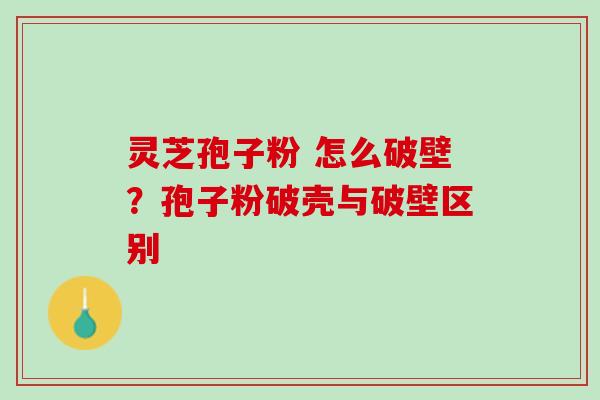 灵芝孢子粉 怎么破壁?孢子粉破壳与破壁区别 灵芝孢子粉 怎么破壁?孢子粉破壳与破壁区别