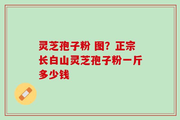 灵芝孢子粉 图?正宗长白山灵芝孢子粉一斤多少钱 灵芝孢子粉 图?正宗长白山灵芝孢子粉一斤多少钱