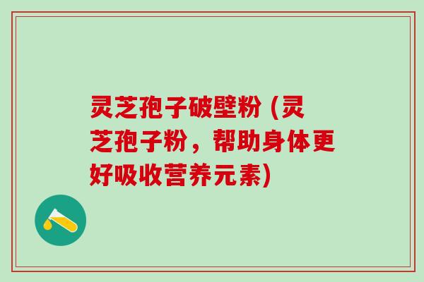 灵芝孢子破壁粉 (灵芝孢子粉，帮助身体更好吸收营养元素)