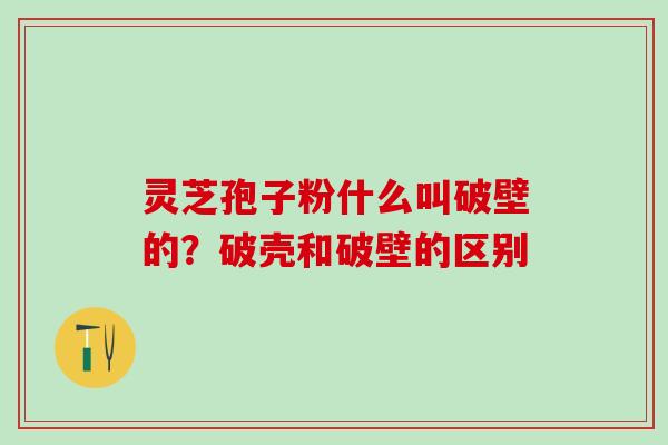 灵芝孢子粉什么叫破壁的？破壳和破壁的区别