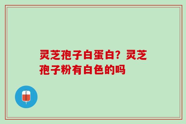 灵芝孢子白蛋白?灵芝孢子粉有白色的吗 灵芝孢子白蛋白?灵芝孢子粉有白色的吗