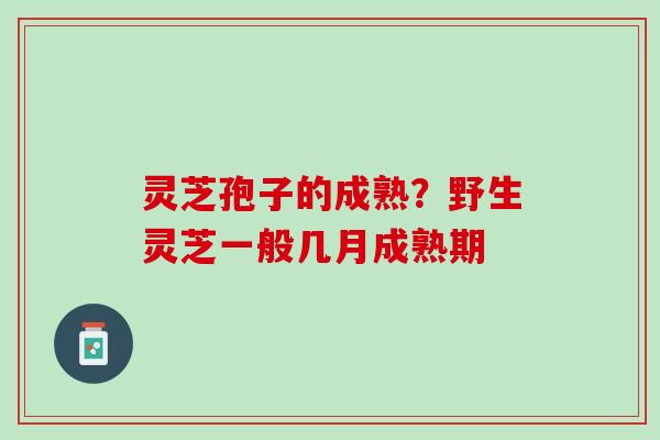 灵芝孢子的成熟？野生灵芝一般几月成熟期