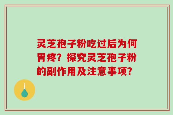 灵芝孢子粉吃过后为何胃疼？探究灵芝孢子粉的副作用及注意事项？