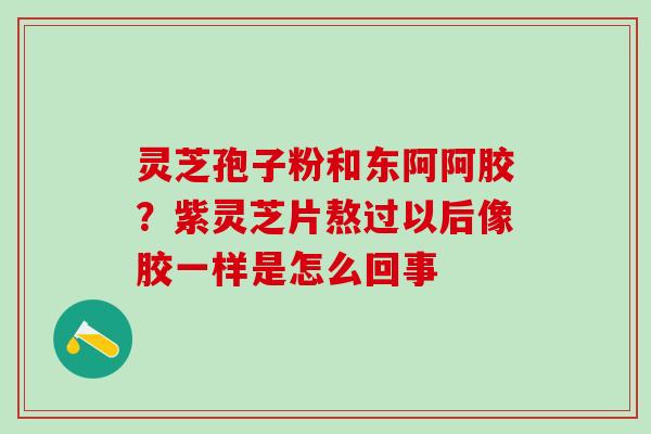 灵芝孢子粉和东阿阿胶？紫灵芝片熬过以后像胶一样是怎么回事