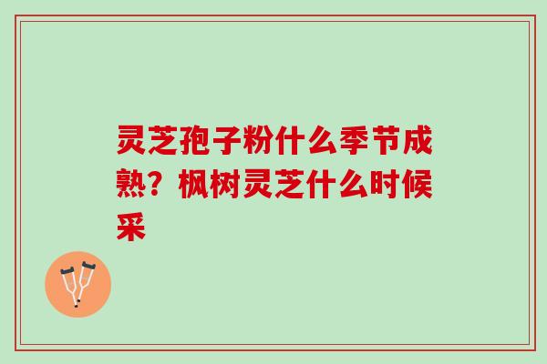 灵芝孢子粉什么季节成熟？枫树灵芝什么时候采