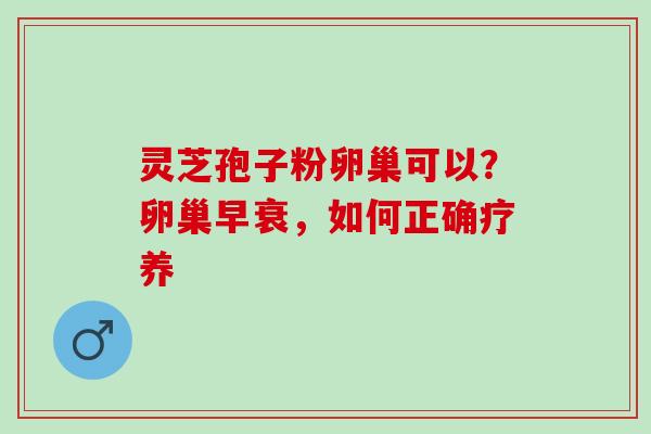 灵芝孢子粉卵巢可以？卵巢早衰，如何正确疗养