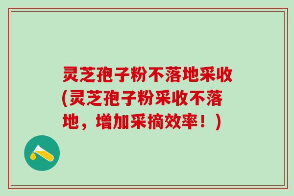 灵芝孢子粉不落地采收(灵芝孢子粉采收不落地，增加采摘效率！)