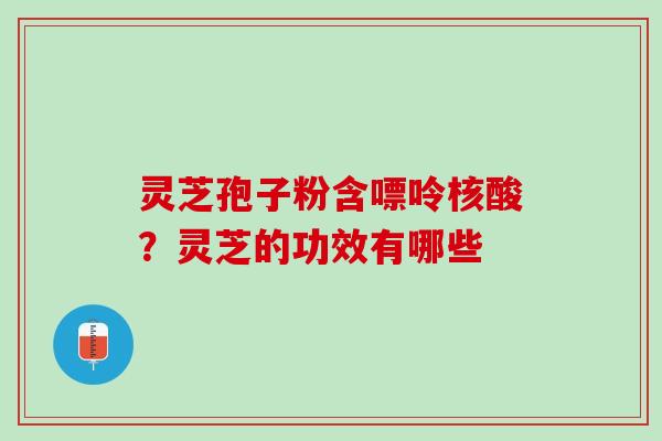 灵芝孢子粉含嘌呤核酸?灵芝的功效有哪些 灵芝孢子粉含嘌呤核酸?灵芝的功效有哪些