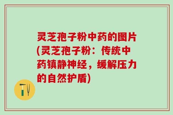 灵芝孢子粉中药的图片(灵芝孢子粉：传统中药镇静神经，缓解压力的自然护盾)