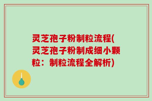灵芝孢子粉制粒流程(灵芝孢子粉制成细小颗粒：制粒流程全解析)