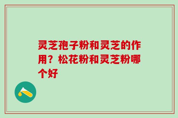 灵芝孢子粉和灵芝的作用？松花粉和灵芝粉哪个好