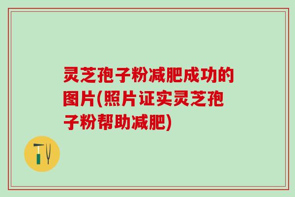 灵芝孢子粉减肥成功的图片(照片证实灵芝孢子粉帮助减肥)