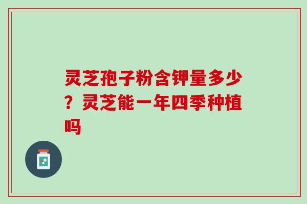 灵芝孢子粉含钾量多少?灵芝能一年四季种植吗 灵芝孢子粉含钾量多少?灵芝能一年四季种植吗