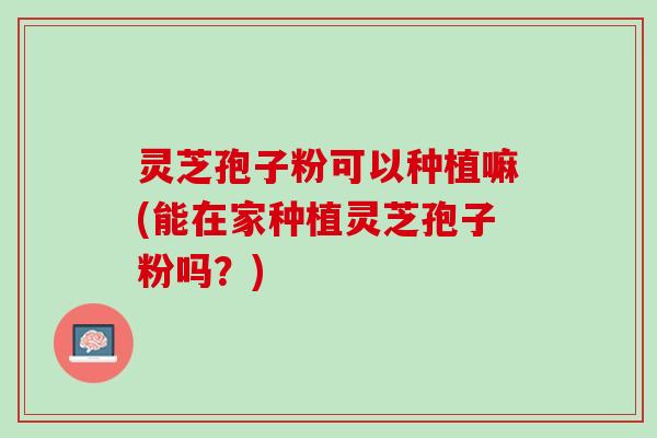 灵芝孢子粉可以种植嘛(能在家种植灵芝孢子粉吗?) 灵芝孢子粉可以种植嘛(能在家种植灵芝孢子粉吗?)