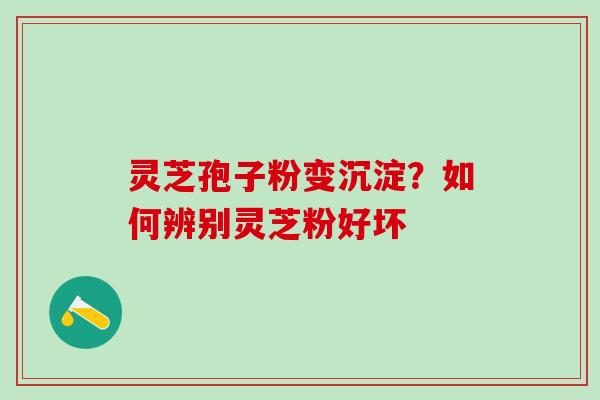 灵芝孢子粉变沉淀？如何辨别灵芝粉好坏