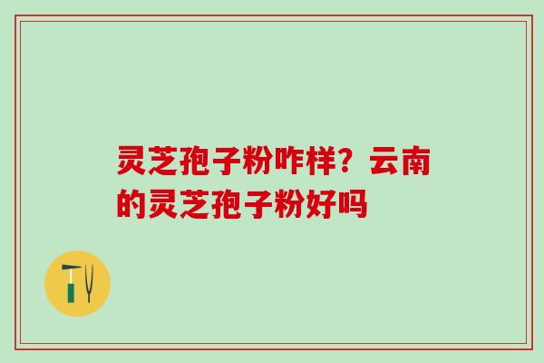 灵芝孢子粉咋样？云南的灵芝孢子粉好吗