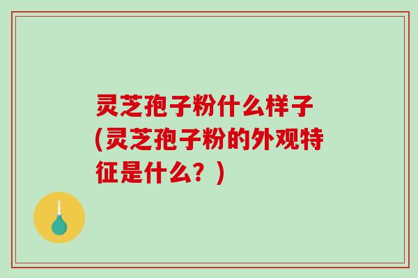 灵芝孢子粉什么样子 (灵芝孢子粉的外观特征是什么？)