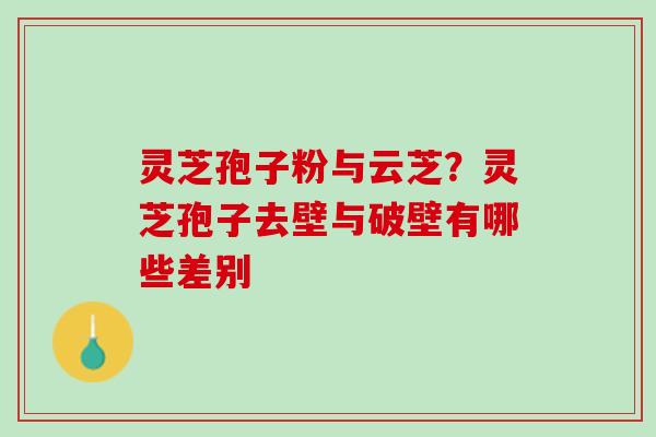 灵芝孢子粉与云芝?灵芝孢子去壁与破壁有哪些差别 灵芝孢子粉与云芝?灵芝孢子去壁与破壁有哪些差别