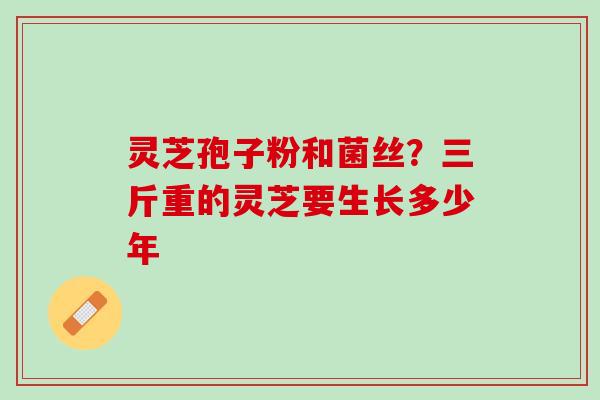 灵芝孢子粉和菌丝？三斤重的灵芝要生长多少年