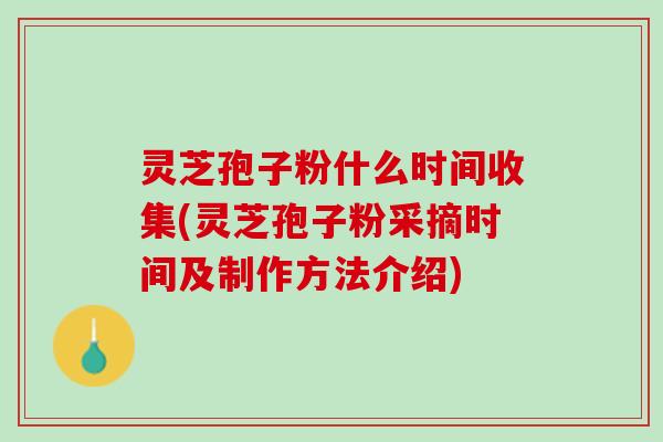 灵芝孢子粉什么时间收集(灵芝孢子粉采摘时间及制作方法介绍)