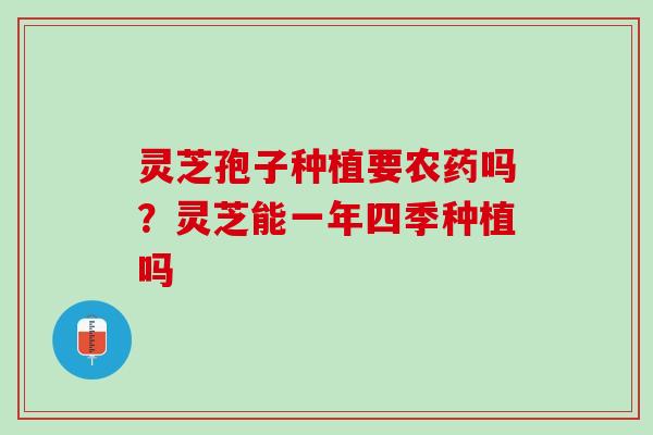 灵芝孢子种植要农药吗？灵芝能一年四季种植吗