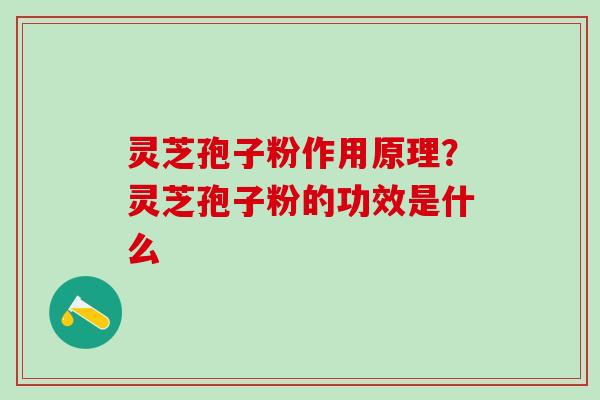 灵芝孢子粉作用原理？灵芝孢子粉的功效是什么