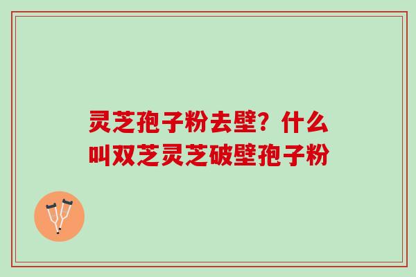 灵芝孢子粉去壁?什么叫双芝灵芝破壁孢子粉 灵芝孢子粉去壁?什么叫双芝灵芝破壁孢子粉