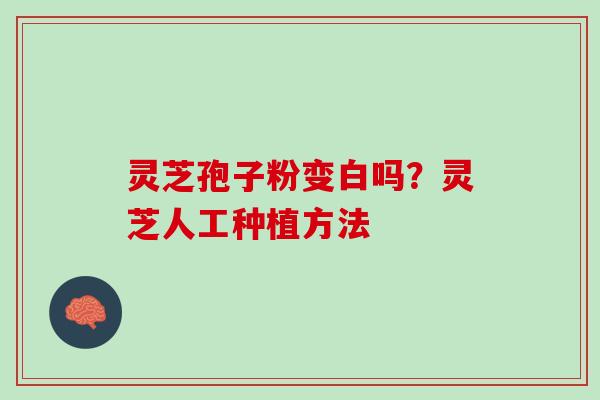 灵芝孢子粉变白吗？灵芝人工种植方法