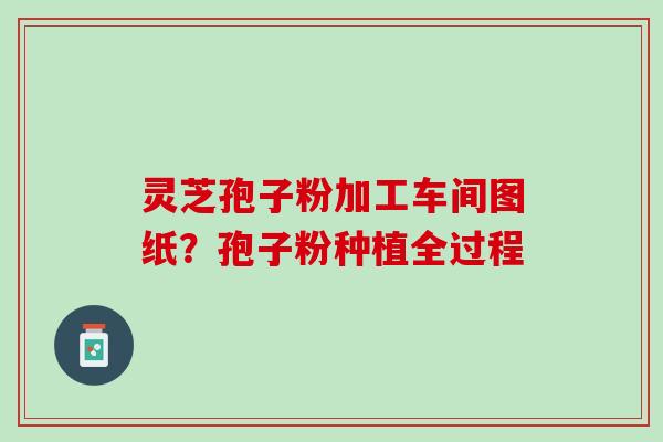 灵芝孢子粉加工车间图纸？孢子粉种植全过程