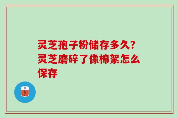灵芝孢子粉储存多久？灵芝磨碎了像棉絮怎么保存