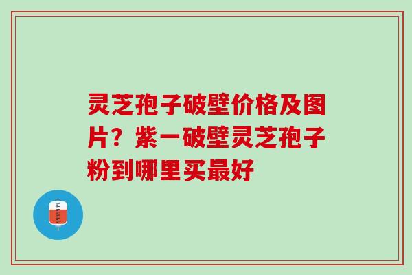 灵芝孢子破壁价格及图片？紫一破壁灵芝孢子粉到哪里买最好