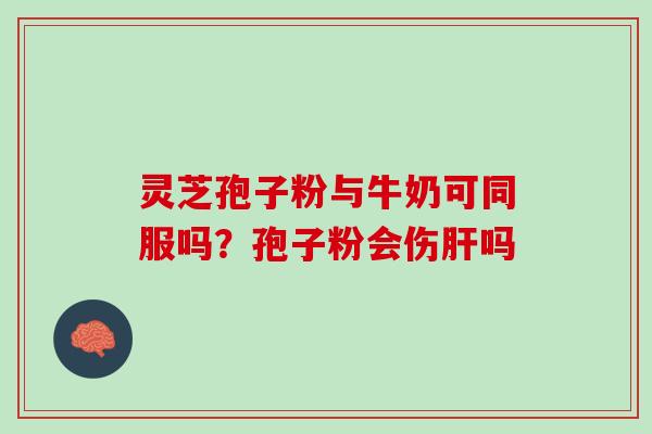 灵芝孢子粉与牛奶可同服吗？孢子粉会伤吗