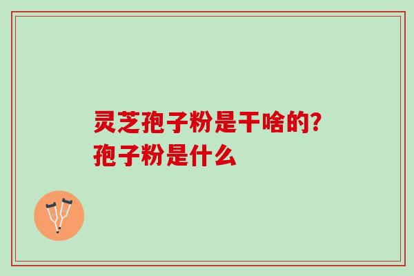 灵芝孢子粉是干啥的？孢子粉是什么