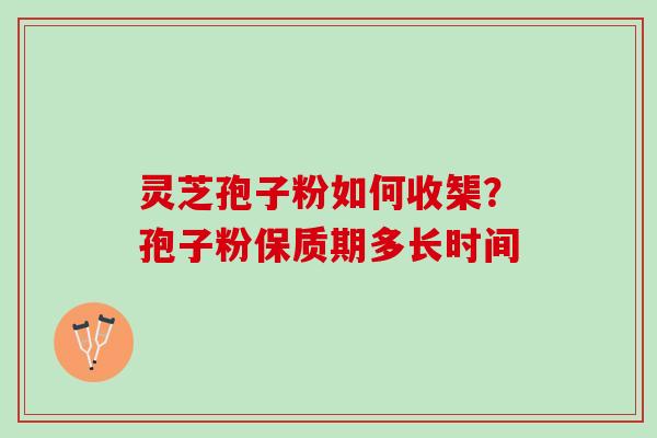 灵芝孢子粉如何收榘？孢子粉保质期多长时间