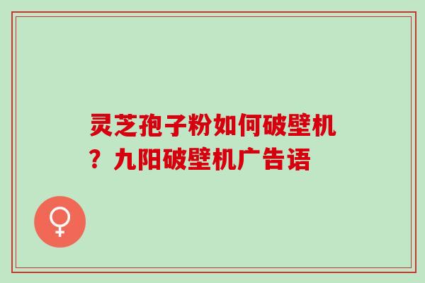 灵芝孢子粉如何破壁机？九阳破壁机广告语