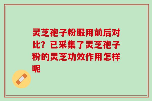 灵芝孢子粉服用前后对比？已采集了灵芝孢子粉的灵芝功效作用怎样呢