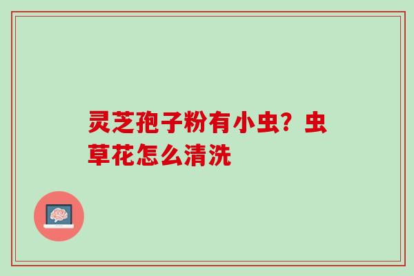 灵芝孢子粉有小虫？虫草花怎么清洗