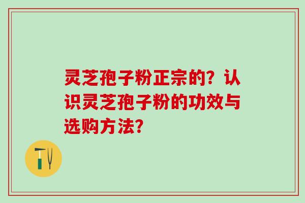 灵芝孢子粉正宗的？认识灵芝孢子粉的功效与选购方法？