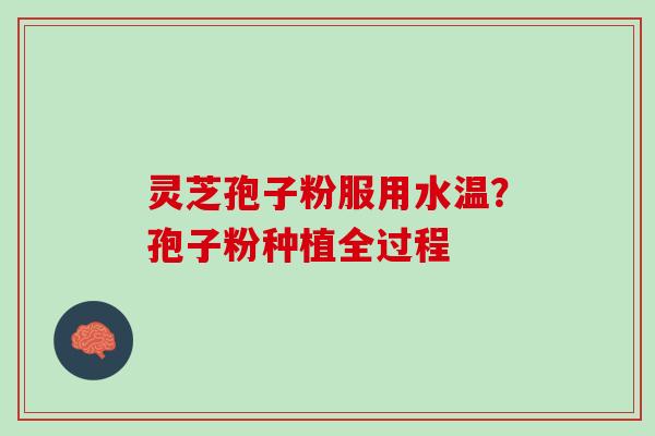 灵芝孢子粉服用水温？孢子粉种植全过程