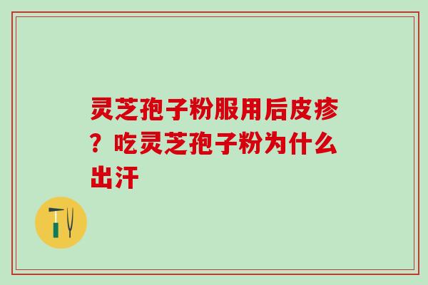 灵芝孢子粉服用后皮疹？吃灵芝孢子粉为什么出汗