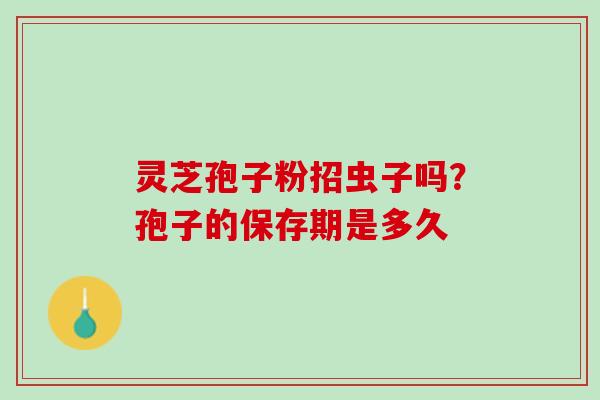 灵芝孢子粉招虫子吗？孢子的保存期是多久