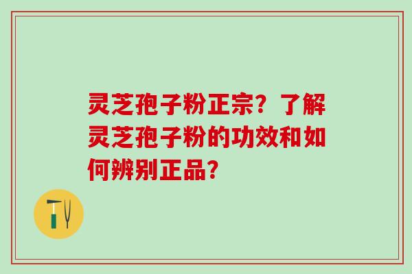 灵芝孢子粉正宗？了解灵芝孢子粉的功效和如何辨别正品？