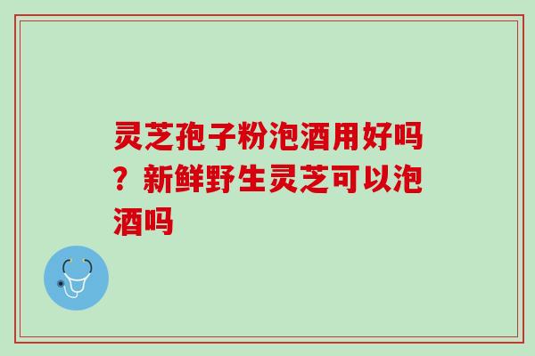 灵芝孢子粉泡酒用好吗？新鲜野生灵芝可以泡酒吗