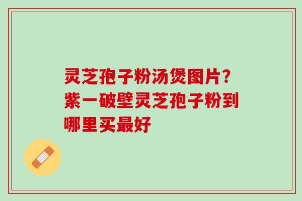 灵芝孢子粉汤煲图片？紫一破壁灵芝孢子粉到哪里买最好