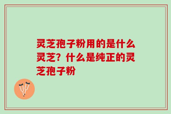 灵芝孢子粉用的是什么灵芝？什么是纯正的灵芝孢子粉