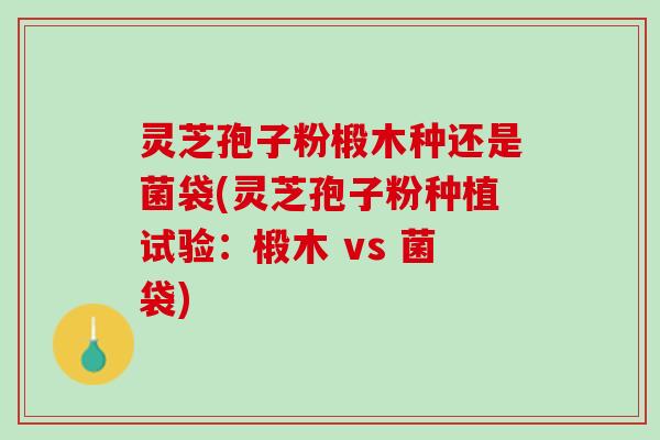 灵芝孢子粉椴木种还是菌袋(灵芝孢子粉种植试验：椴木 vs 菌袋)