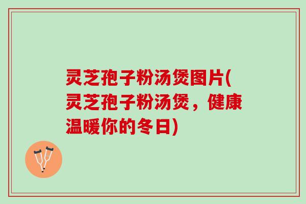 灵芝孢子粉汤煲图片(灵芝孢子粉汤煲，健康温暖你的冬日)