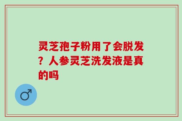 灵芝孢子粉用了会?人参灵芝洗发液是真的吗 灵芝孢子粉用了会?人参灵芝洗发液是真的吗