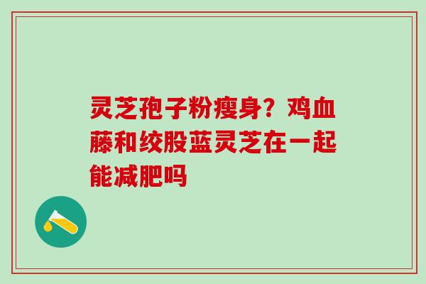 灵芝孢子粉瘦身？鸡血藤和绞股蓝灵芝在一起能减肥吗